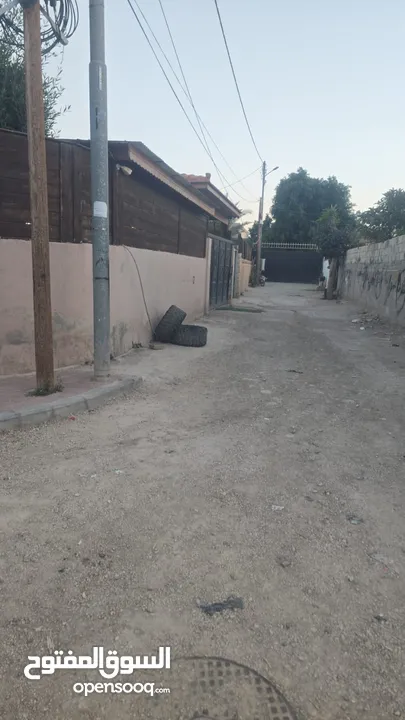 أحمد أبو مطاوع
