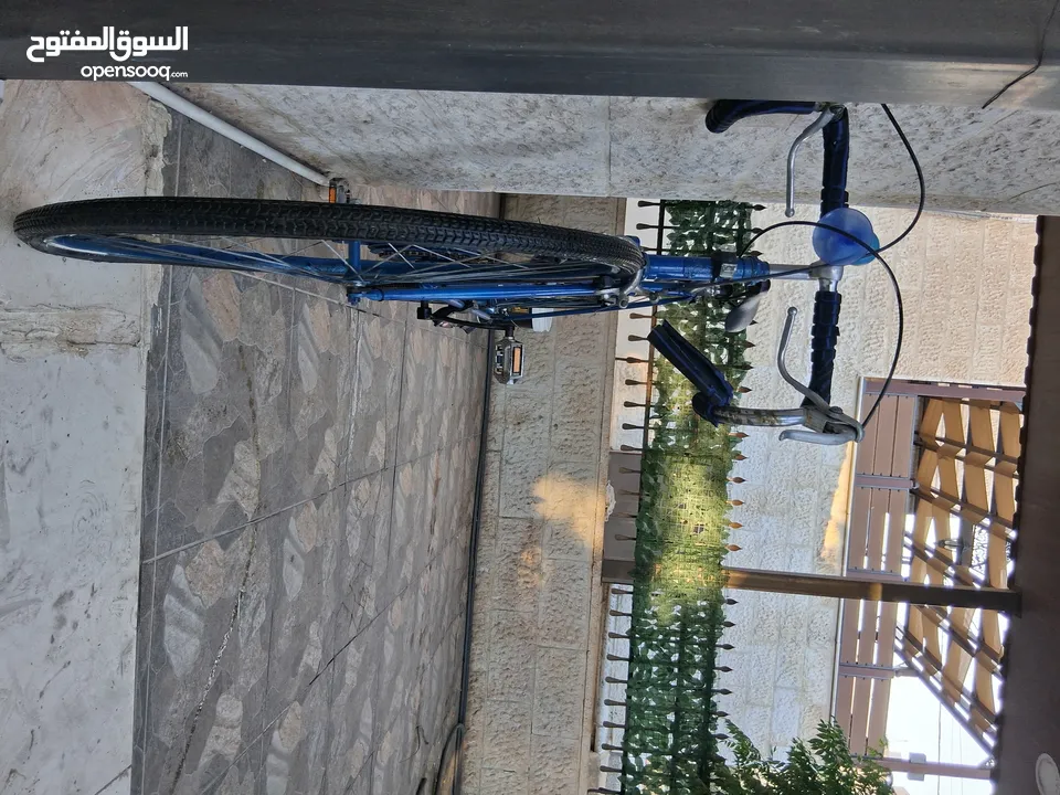 بسكليت سباق ياباني