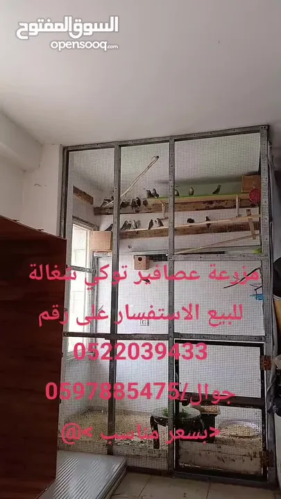 نحالين جنوب بيت لحم