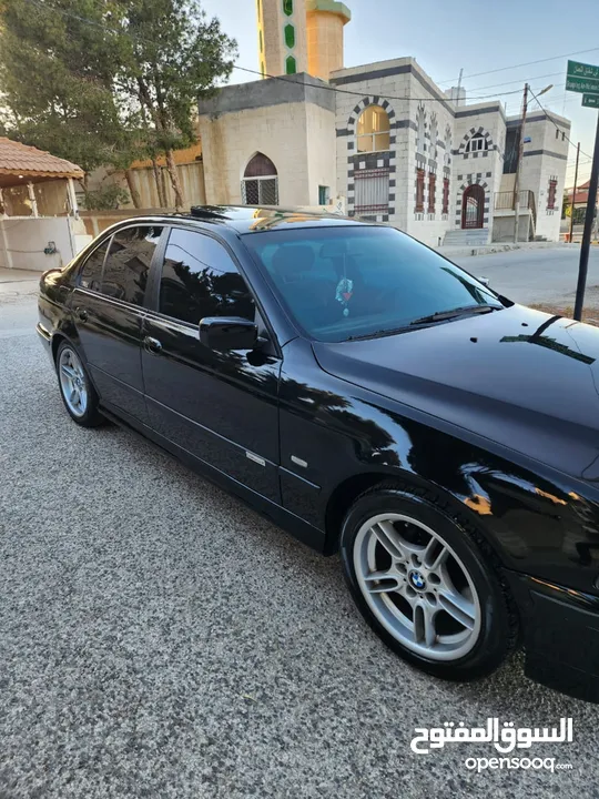 BMW E39 الدب