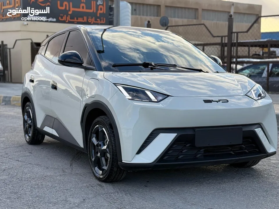 بس واي دي سيجول 305k 2023