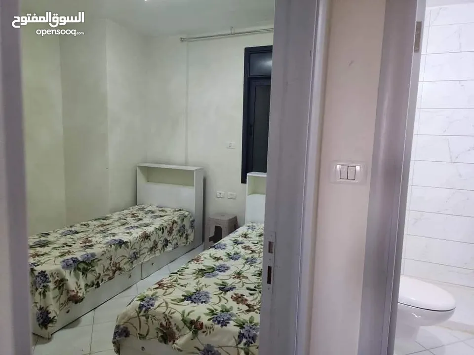 شقة مفروشة للايجار