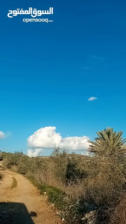 ارض للبيع بسعر مميز