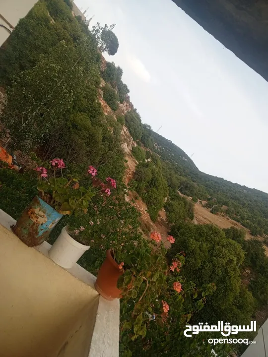 منزل مستقل للبيع في عرجان للاستفسار على هاذ الرقم