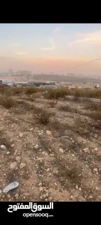 ا،ض للبيع تصنيف سكن با مساحه 8دونم في جفنا