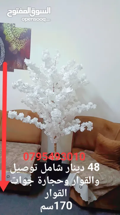 شجر اللوز الصناعي اقرب للطبيعي نيلي ابيض زهر