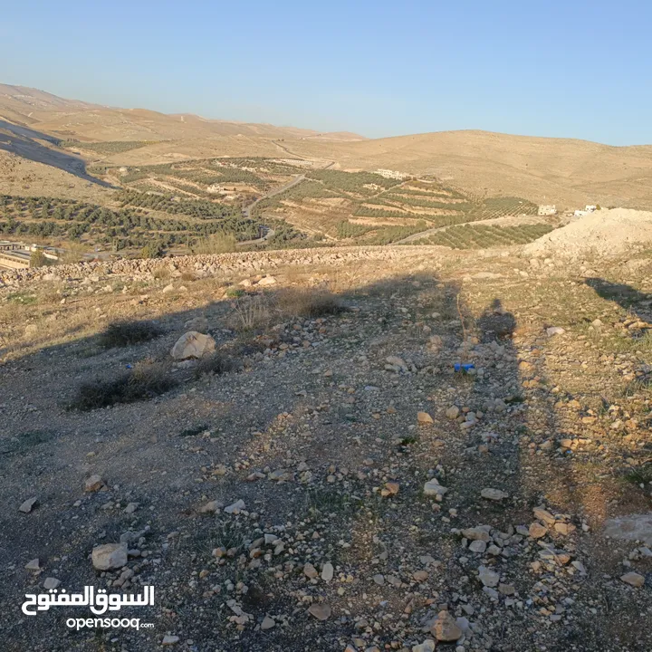 قطع اراضي للبيع كاش او اقساط