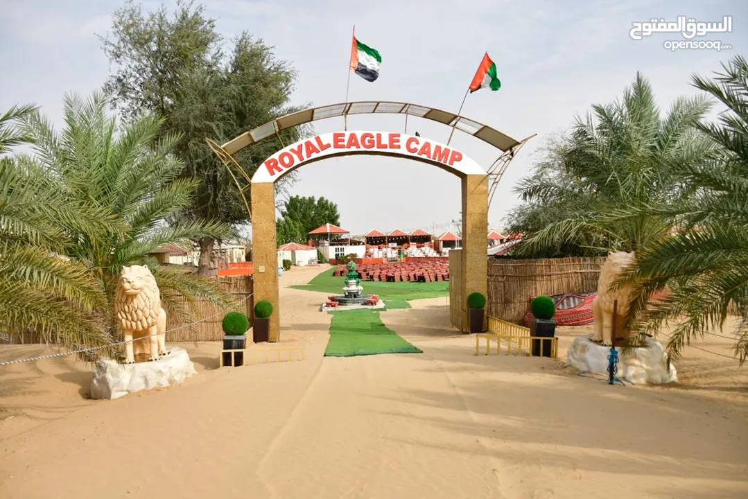 Desert safari cheapest rates