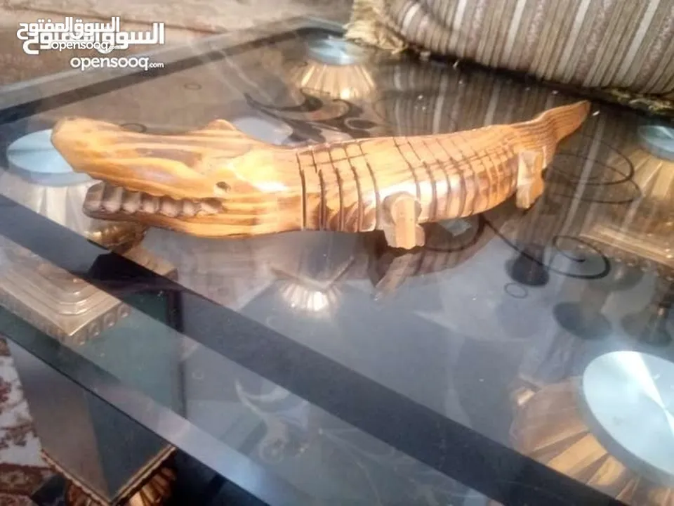 مناظر حيوانات للبيع بسعر مغري
