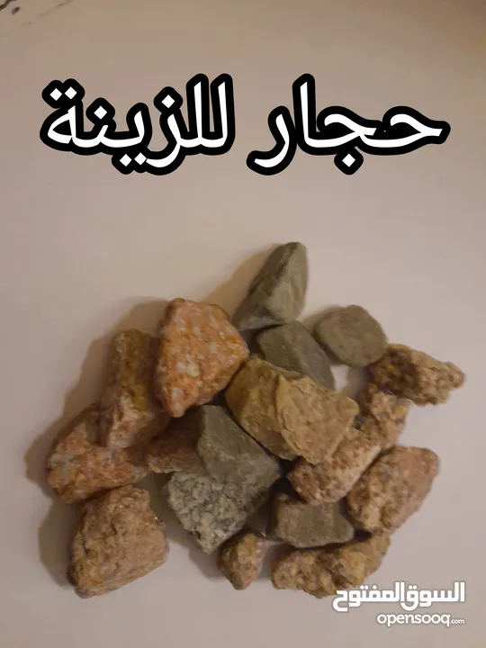 حوض سمك بسعر حرق اقرأ الوصف+عرض لفترة محدودة  بسعر حرق منافس للأخرين اقرأ الوصف