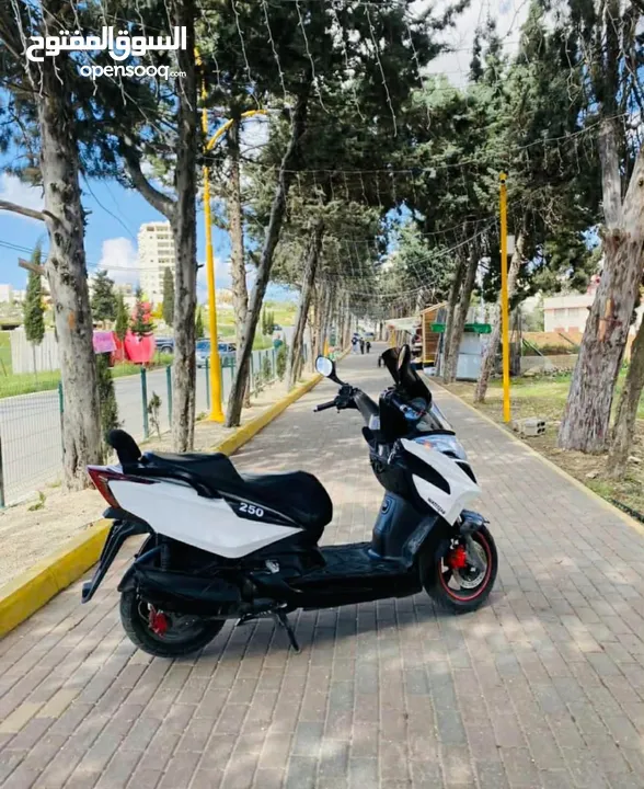 دراجة كامكو 2019