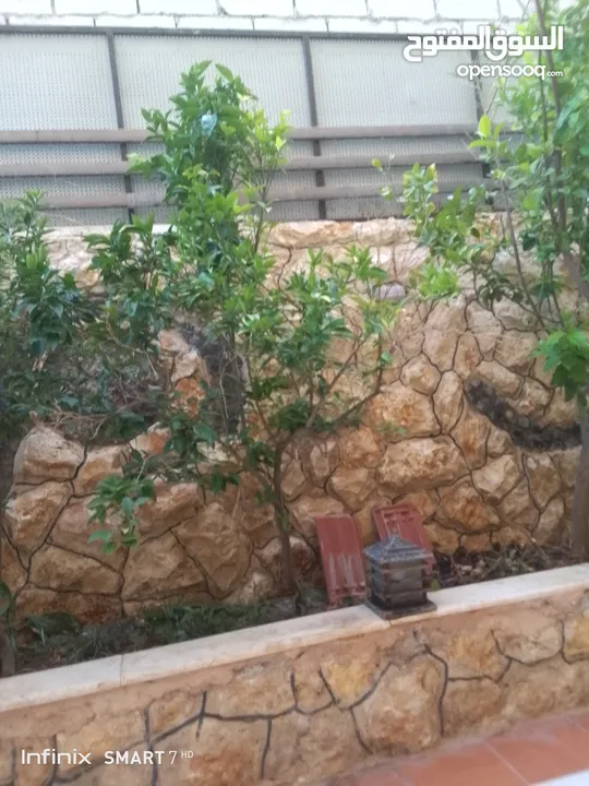 شبك حديقه منزليه