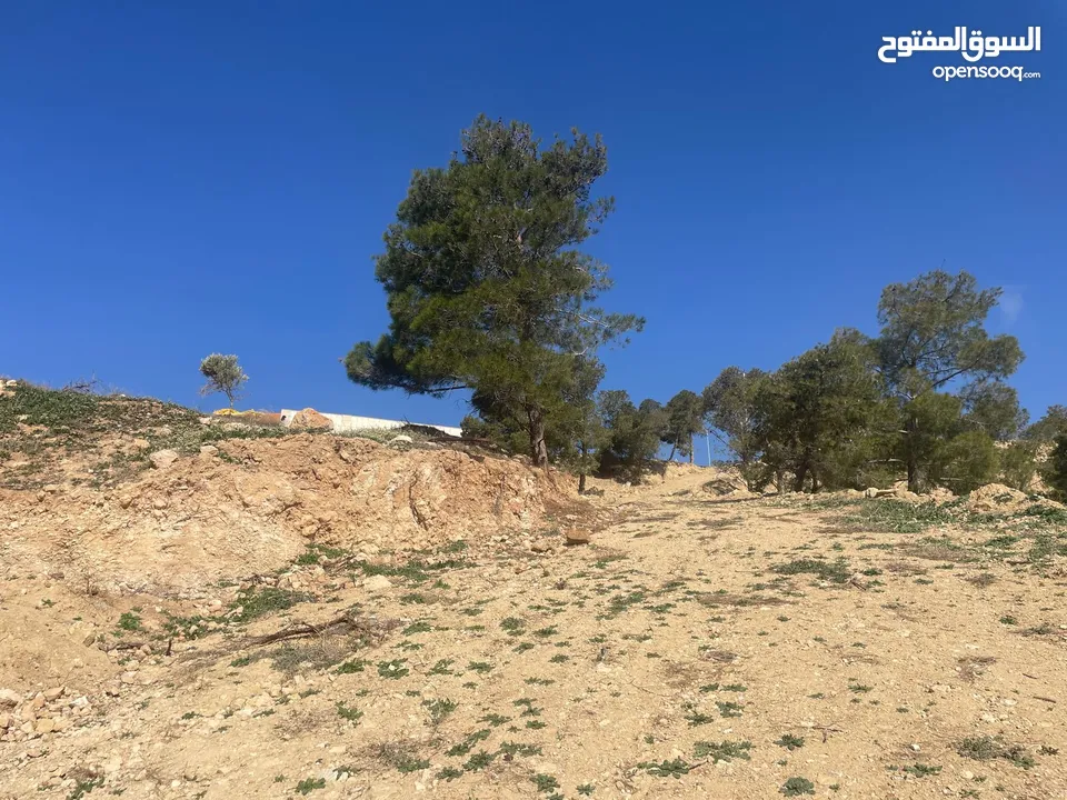 ارض للبيع / الصبيحي 18 دونم تقع على شارع رئيسي ‏بإطلالة مميزة وجميلة ويوجد بجانبها مطعم