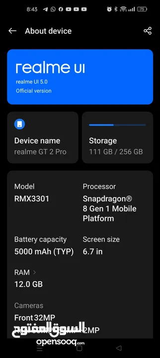 Realme GT2 pro