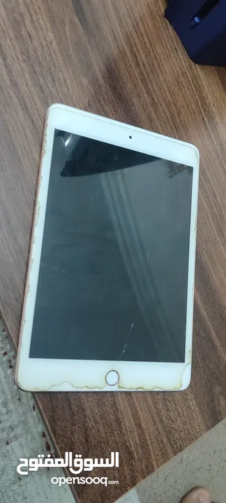 iPad mini 5