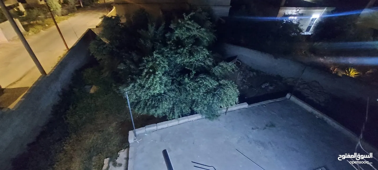 بيت مستقل للبيع في المفرق بلعما الزيتونه  قوشان مستقل  ومسور بلكامل مسطح 140 يبعد عن مدرسة البنات