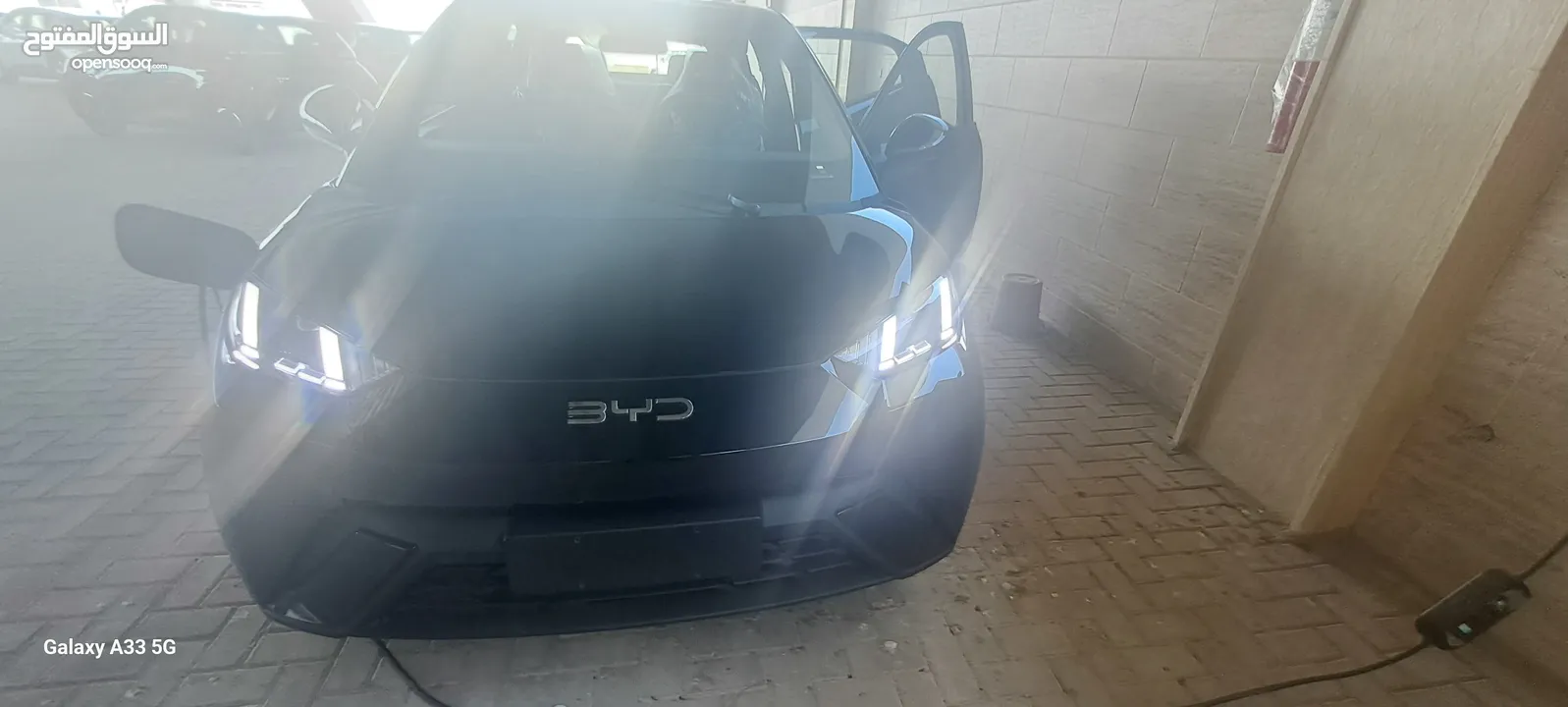 405 k  BYD SEAGULL FLYING 2024