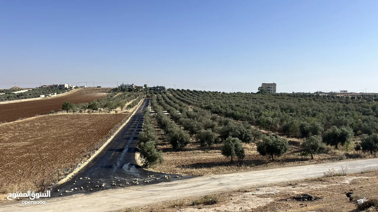 ارض للبيع في حسبان قريبة من شارع المطار ومرج الحمام على شارع مأدبا الغربي قريبة من الجامعة الألمانية