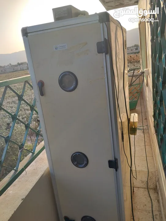 فقاسة جيموكا التركية ...