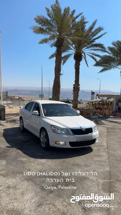 سكودا اوكتافيا رمش