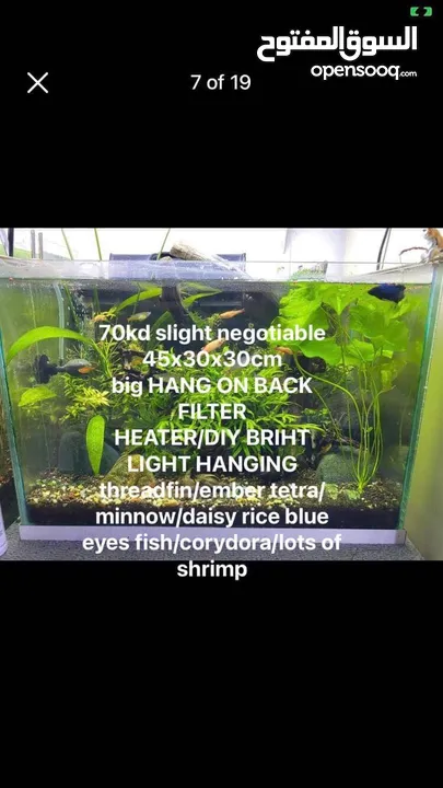 PLANTED AQUARIUM DIFFERENT SIZE AND PRICE