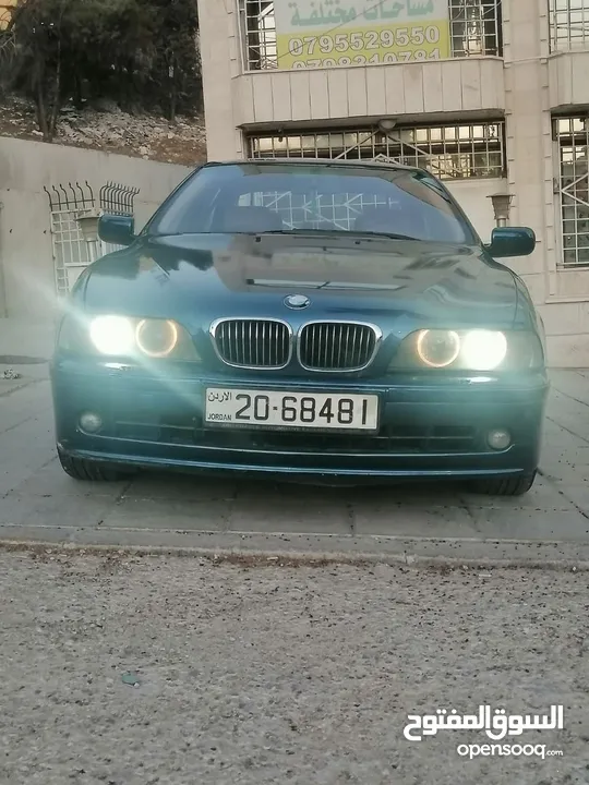 BMW 525 2003الدب