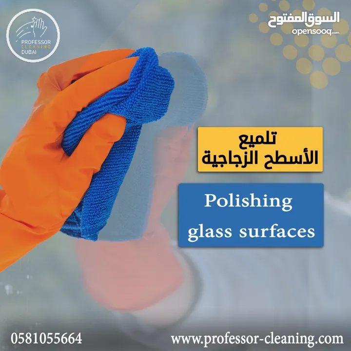 offer professor cleaning