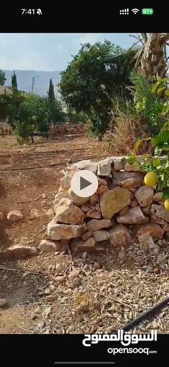 أرض زراعية او سكنية للبيع 2 دونم و 580 متر