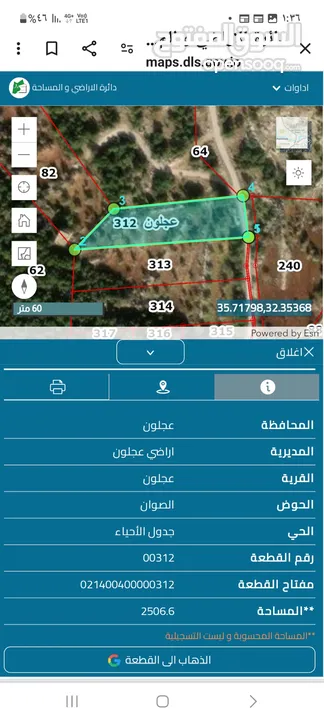 دونمين ونصف زيتون للبيع في عجلون قرب التلفريك