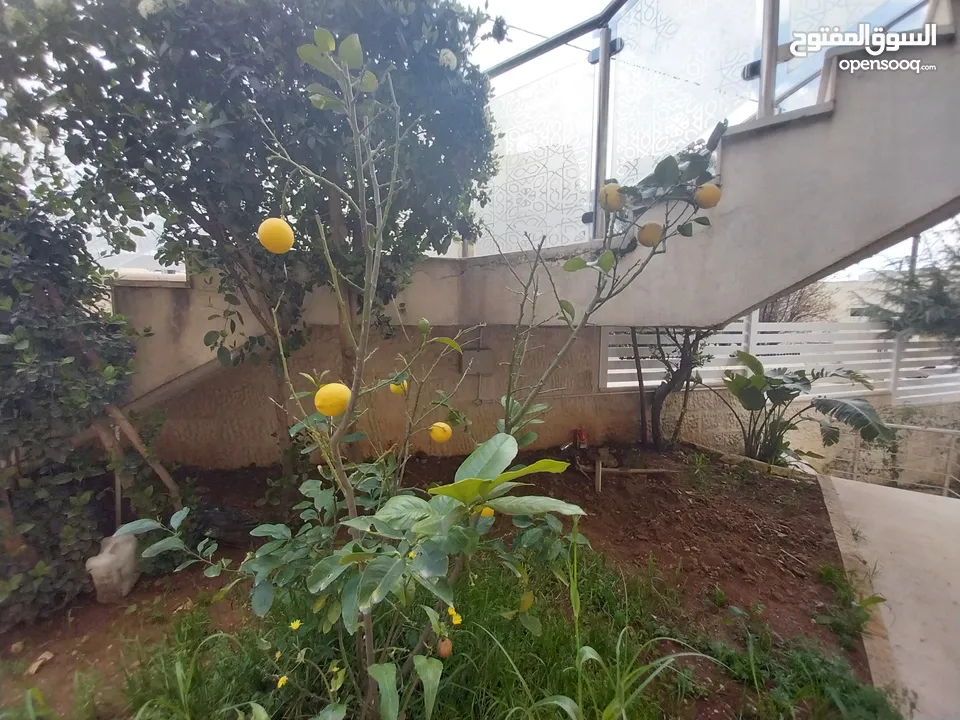 شقة للايجار في عبدون  ( Property 36956 )-175073010