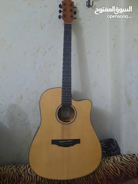 جيتار TE39