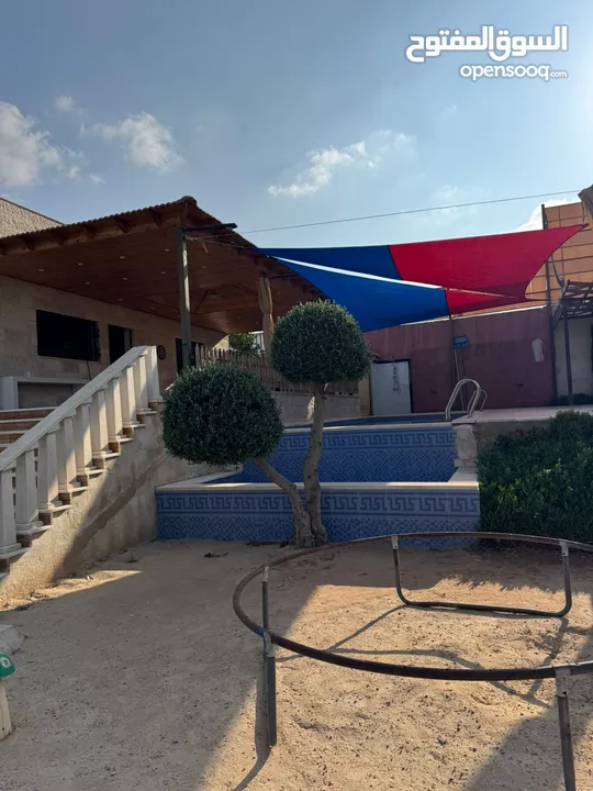 مزرعة وشاليه جنة النعيم طريق المطار للايجار اليومي