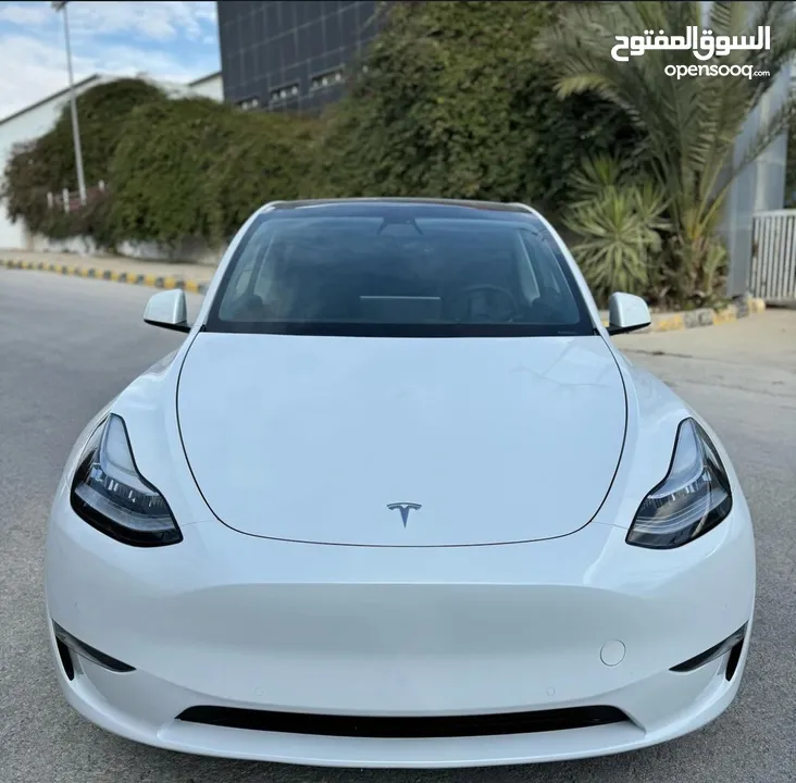 Model y 2021