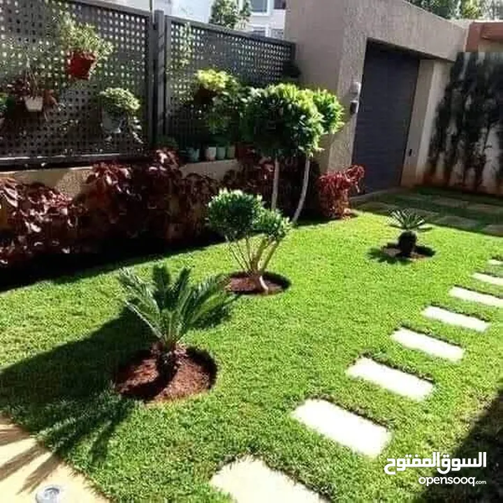 جميع الاشجار المثمرة والزينه  تنسيق وزراعة الحدائق الخارجيه والداخليه  صيانة الحدائق وتشكيل الأشجار