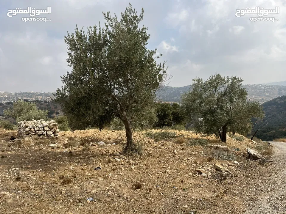 (1)ارض للبيع في بدر الجديدة السويسة مساحة الأرض 4500 م