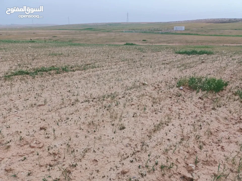 ارض للبيع من المالك مباشرة