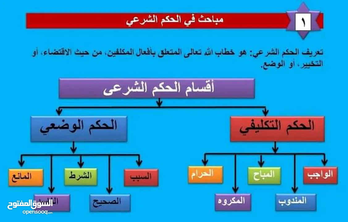 متخصص تأسيس وتدريس علوم اللغة العربية والتربية الإسلامية والدراسات الاجتماعية والفلسفية