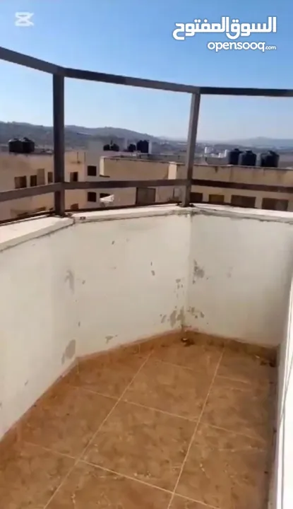 شقة للبيع في جنين (ضاحية الزيتونة) بسعر مغري من المالك مباشرة