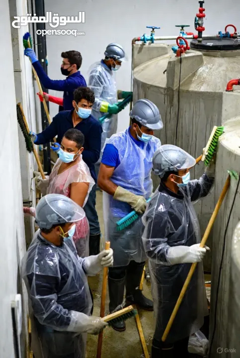 مطلوب ممول مشروع تطبيق خدمات عامة