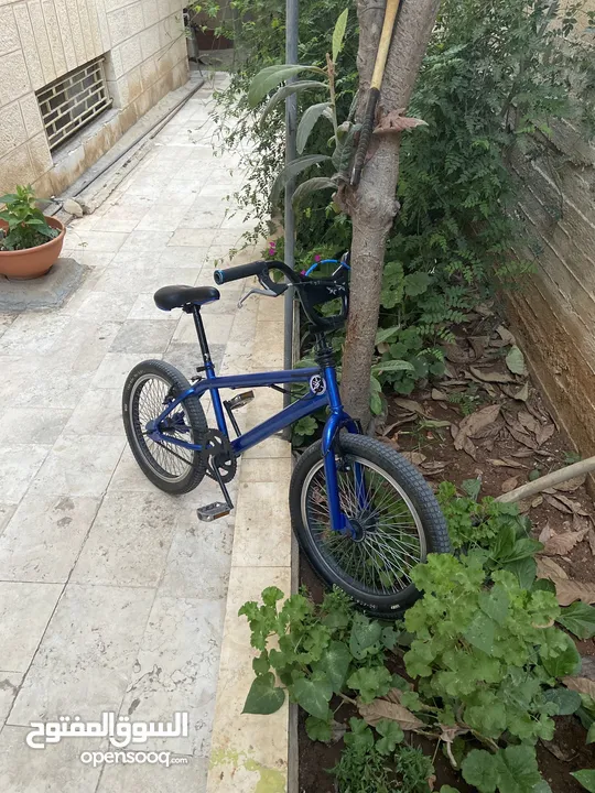 همر للبيع او بدل علا عصافير