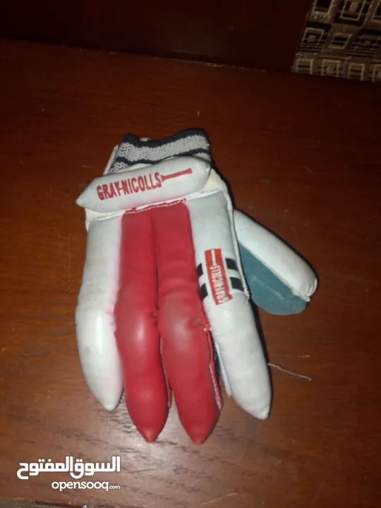 cricket batsman gloves of grey nicolls it is a pair