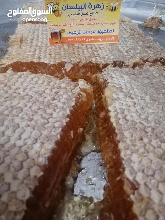 عسل طبيعي بلدي اصلي مضمون ومكفول 100٪؜ من مناحلنا