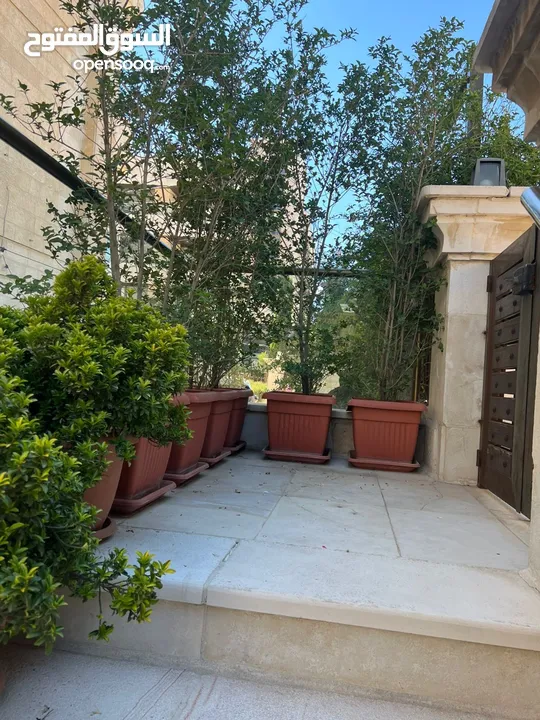 ‎ نباتات وزهور وأشجار زينة بحالة ممتازة