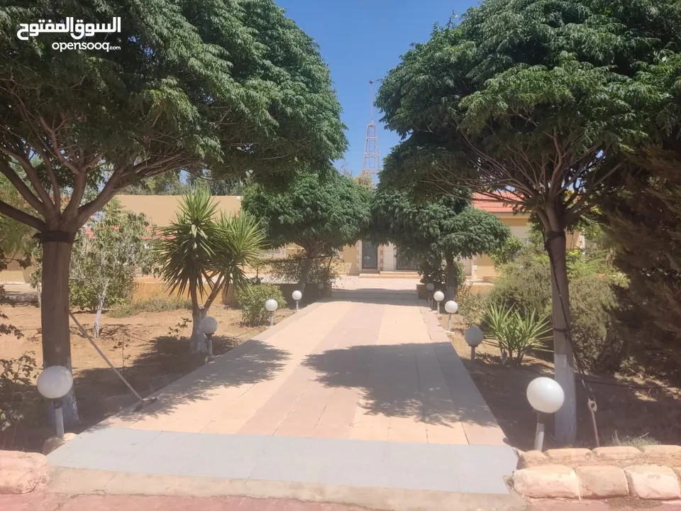 مادبا حواره مزرعه للبيع
