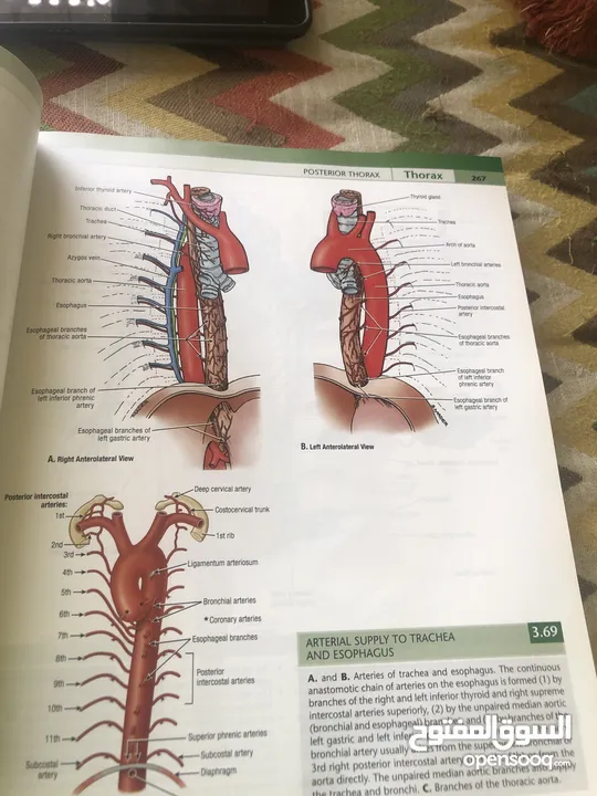 Atlas of Anatomy book