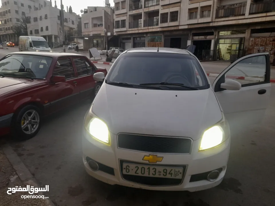 شفرليت افيو 2010