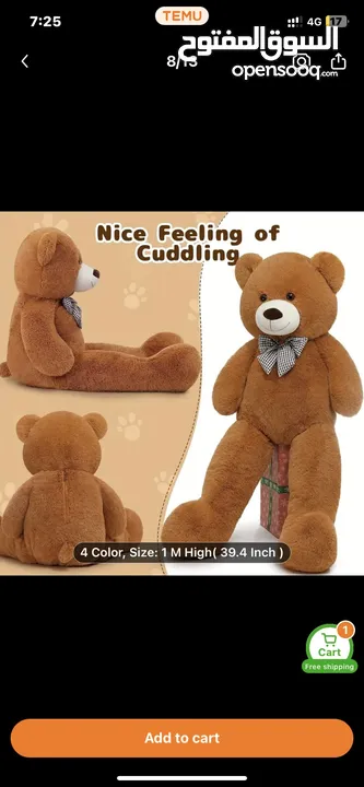 Teddy bear for sale