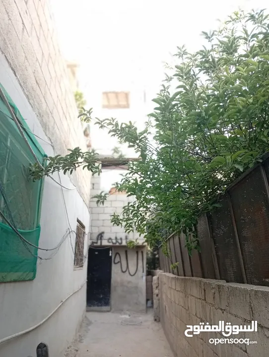 انت كسبان بيت للبيع