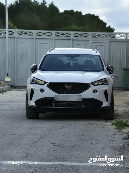 كوبرا فورمينتور