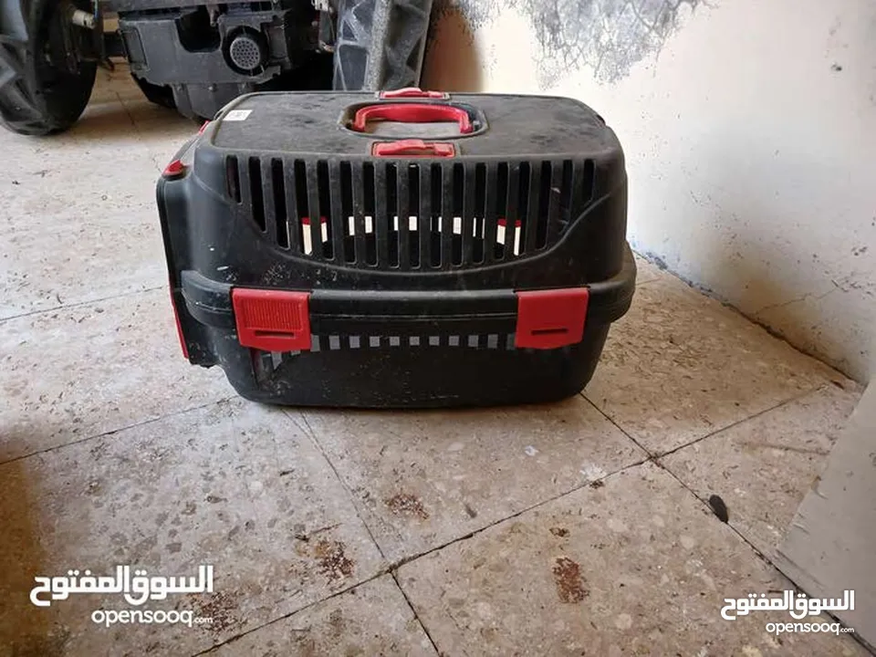 بيت للقطط جديد
